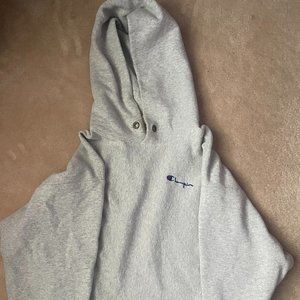 Medium, Gray, Cropped, Champion Hoodie